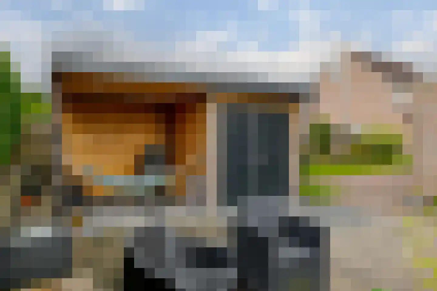 Kamille 21 Roden thumbnail 47