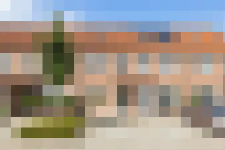 Kamille 22 Zwaag
