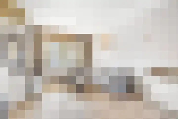 Kamille 22 Zwaag thumbnail 10