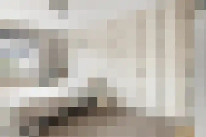 Kamille 22 Zwaag thumbnail 17