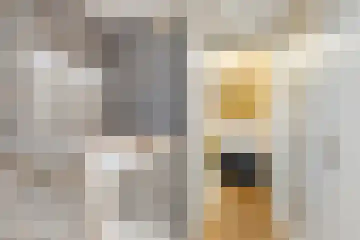 Kamille 22 Zwaag thumbnail 24