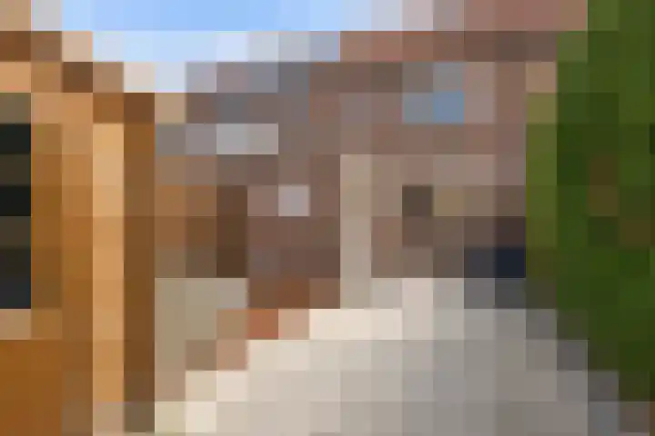 Kamille 22 Zwaag thumbnail 29