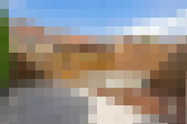 Kamille 22 Zwaag thumbnail 30