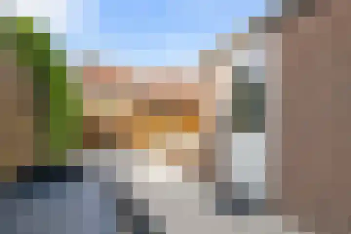 Kamille 22 Zwaag thumbnail 31