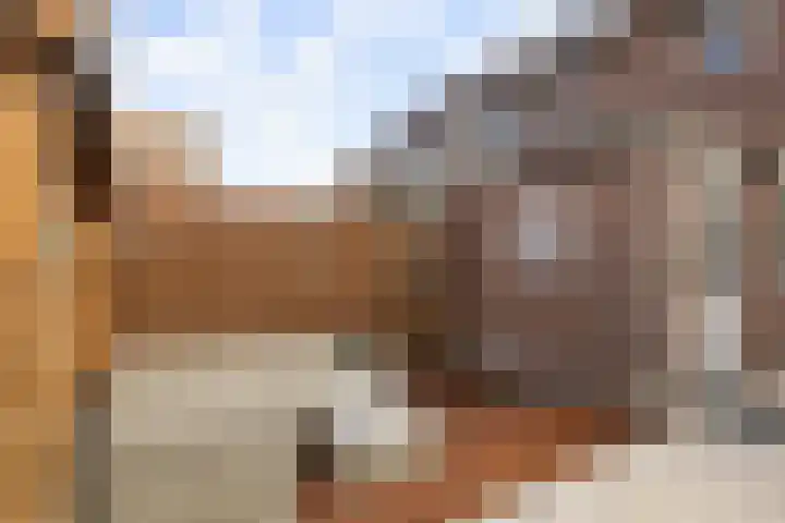 Kamille 22 Zwaag thumbnail 32