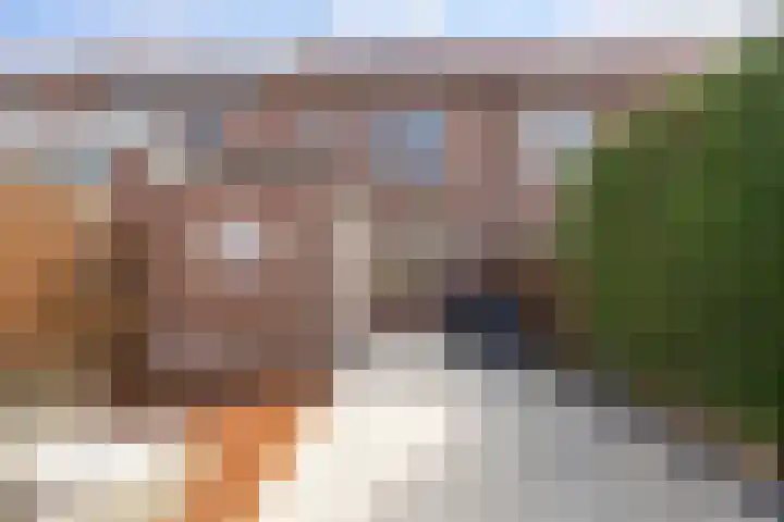 Kamille 22 Zwaag thumbnail 33