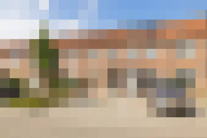 Kamille 22 Zwaag thumbnail 35