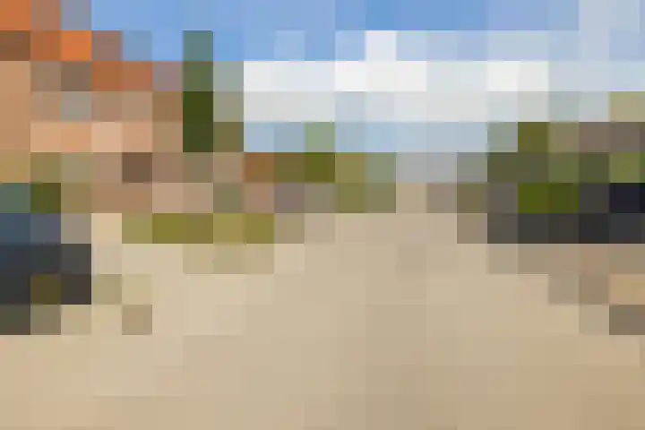 Kamille 22 Zwaag thumbnail 36