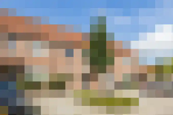 Kamille 22 Zwaag thumbnail 37