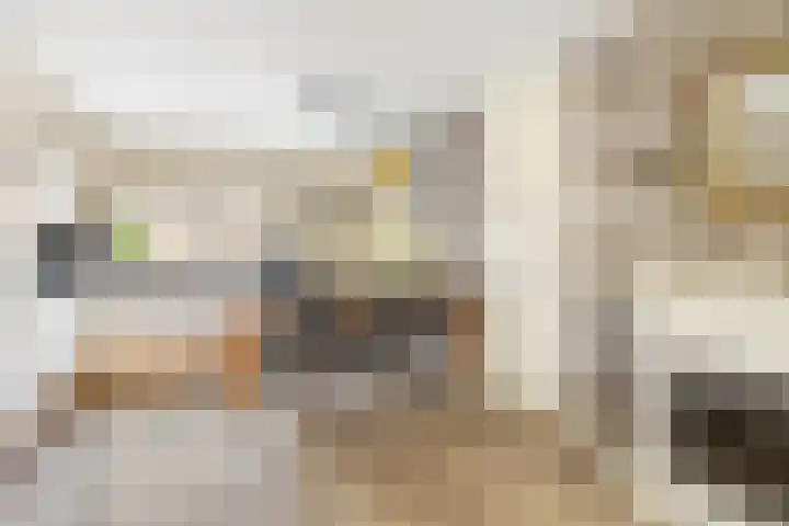 Kamille 22 Zwaag thumbnail 5