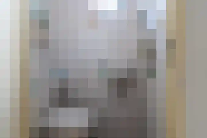 Kamille 23 Sprang-Capelle thumbnail 12