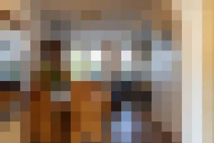 Kamille 23 Sprang-Capelle thumbnail 15