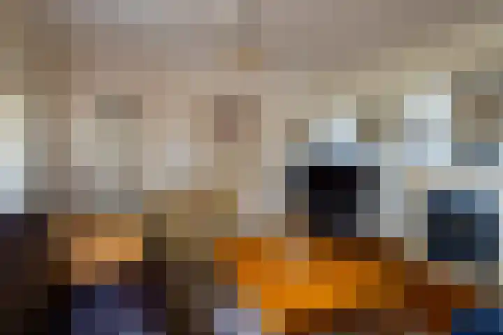 Kamille 23 Sprang-Capelle thumbnail 18