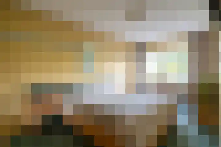Kamille 23 Sprang-Capelle thumbnail 20