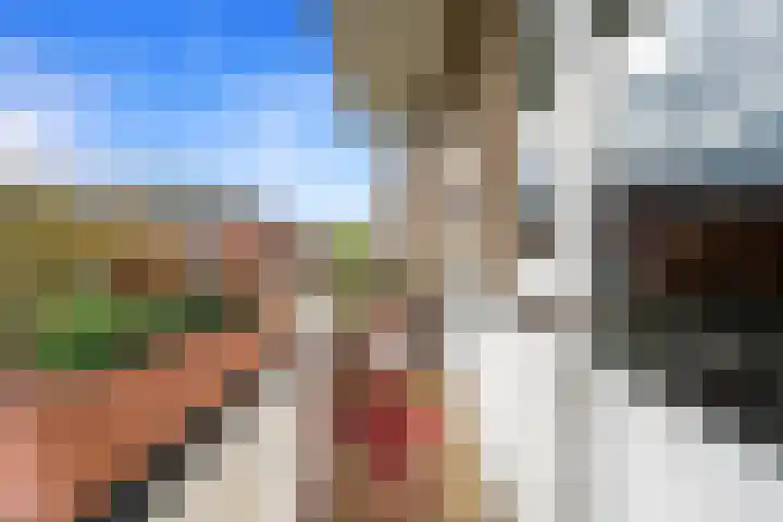 Kamille 23 Sprang-Capelle thumbnail 26