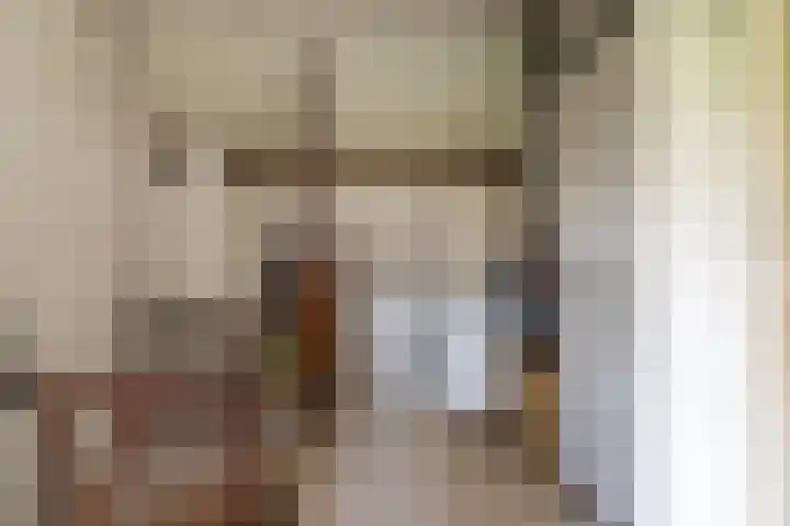 Kamille 23 Sprang-Capelle thumbnail 29