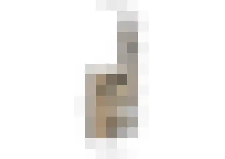 Kamille 23 Sprang-Capelle thumbnail 33