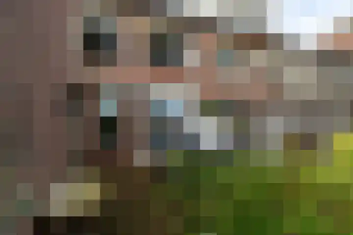 Kamille 23 Sprang-Capelle thumbnail 4