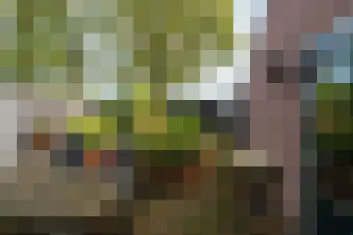 Kamille 23 Sprang-Capelle thumbnail 5
