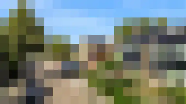 Kamille 23 Sprang-Capelle thumbnail 8