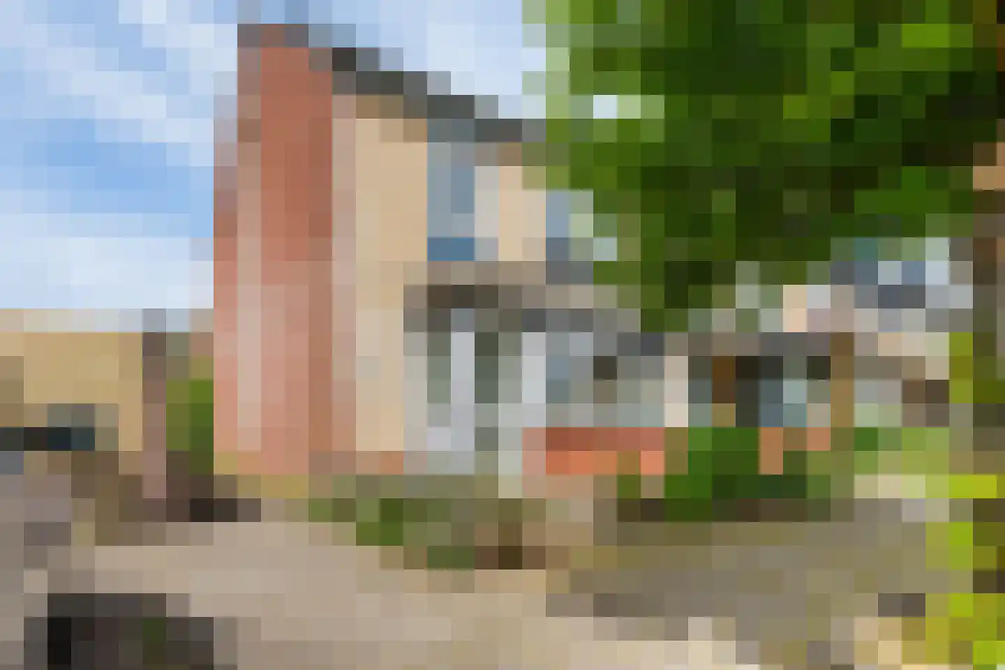 Kamille 24 Noordwijkerhout