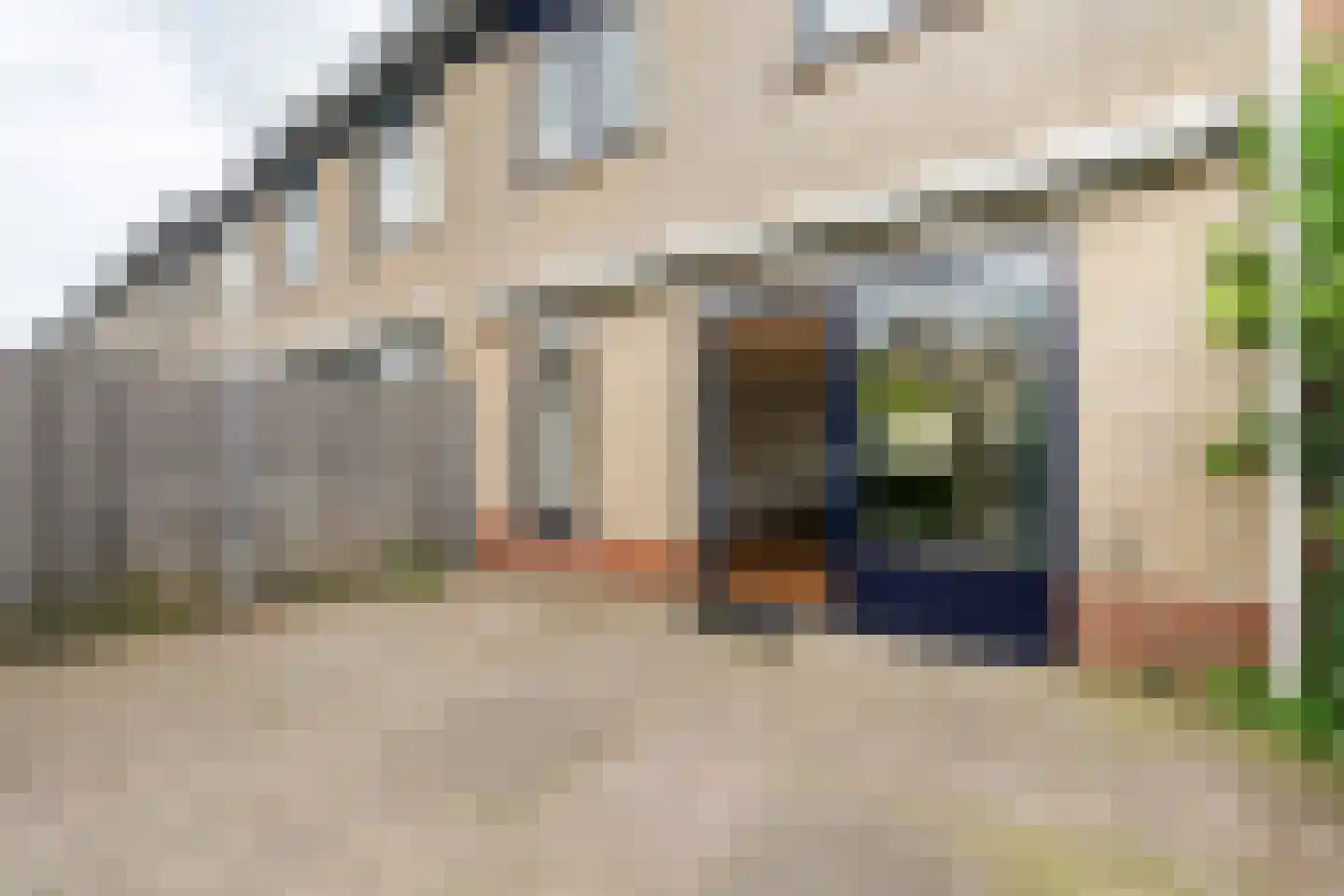 Kamille 24 Noordwijkerhout thumbnail 32