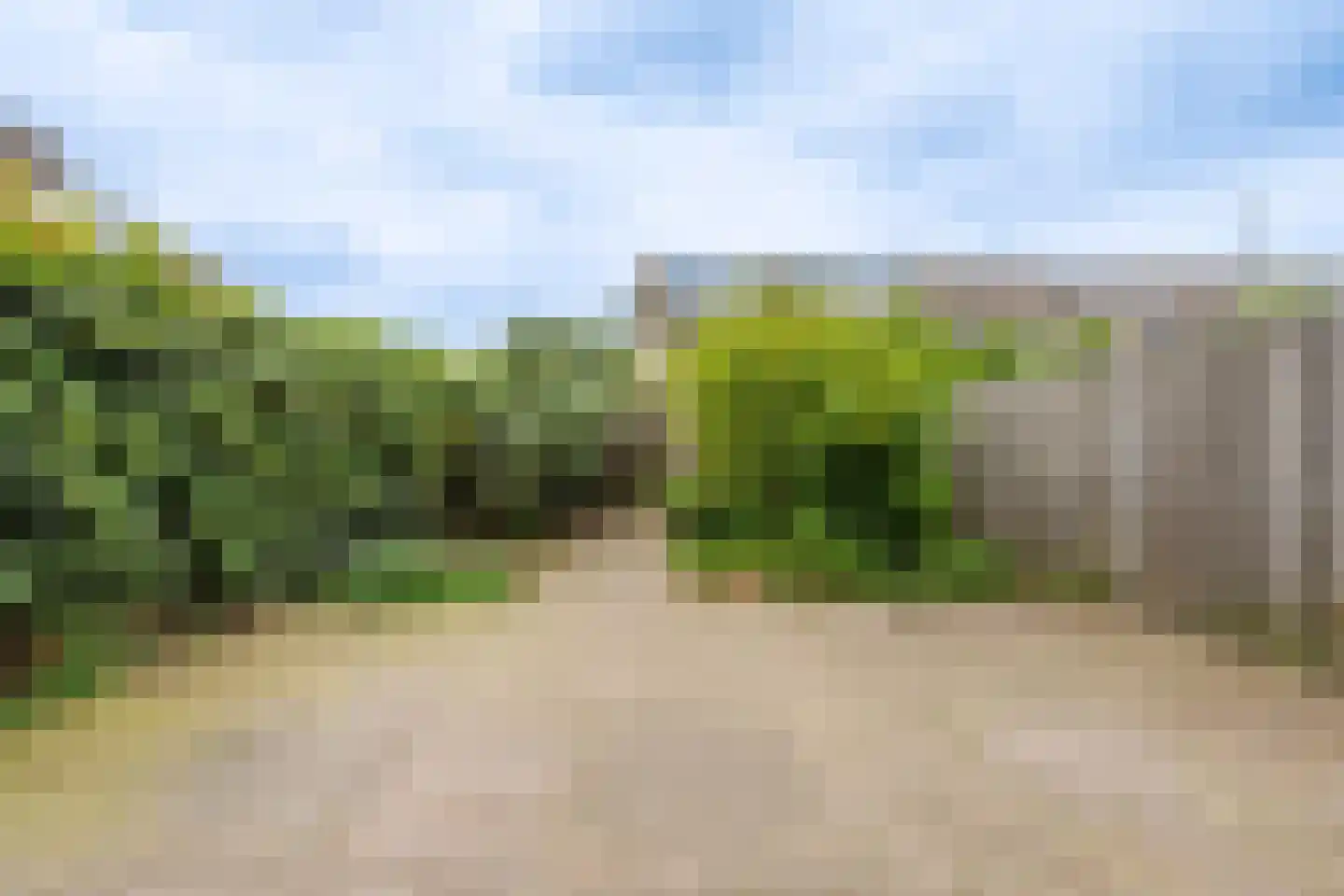 Kamille 24 Noordwijkerhout thumbnail 33