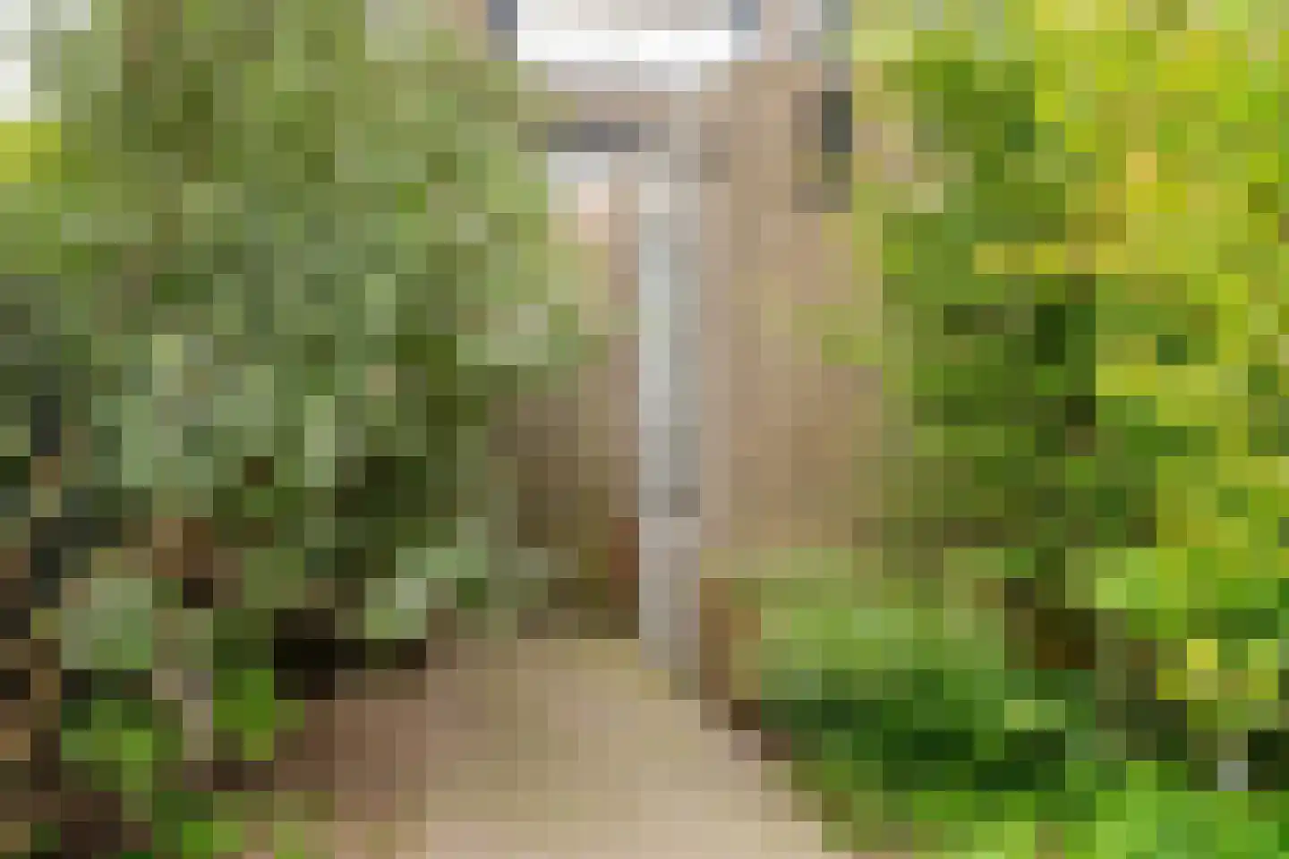 Kamille 24 Noordwijkerhout thumbnail 34