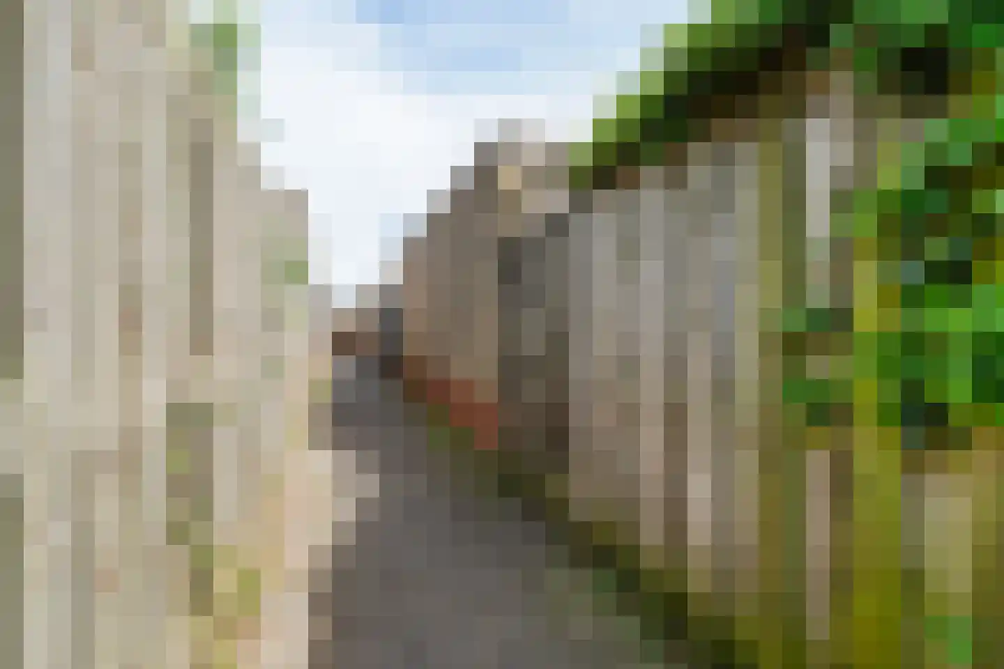 Kamille 24 Noordwijkerhout thumbnail 36