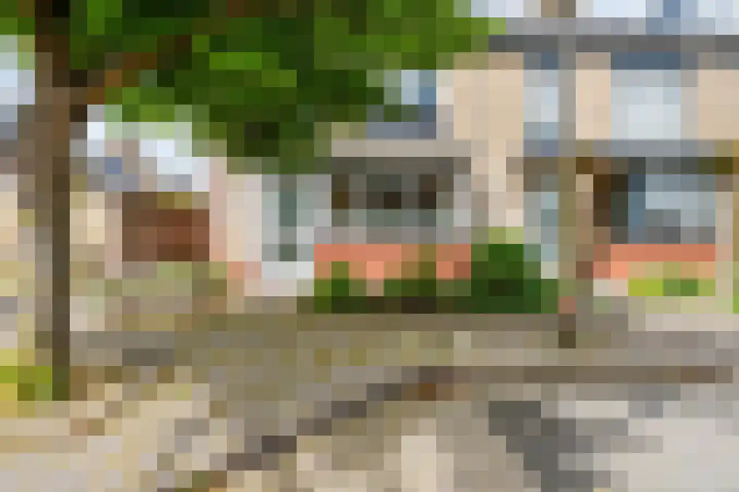 Kamille 24 Noordwijkerhout thumbnail 37