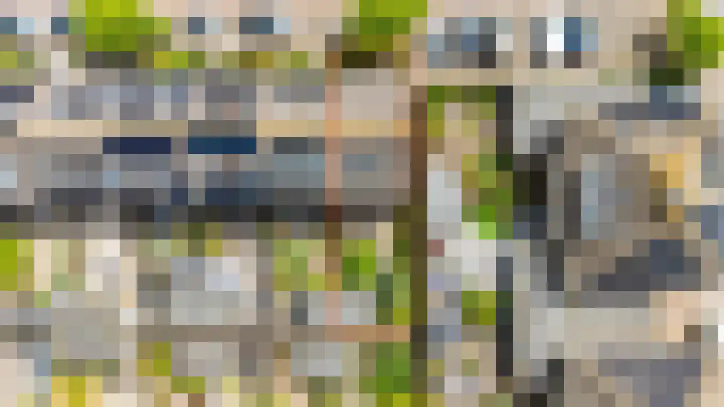 Kamille 24 Noordwijkerhout thumbnail 38