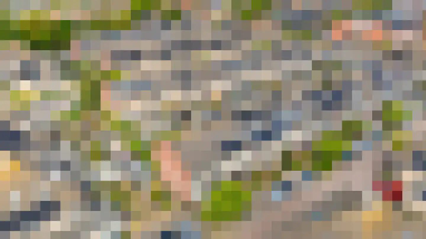 Kamille 24 Noordwijkerhout thumbnail 39