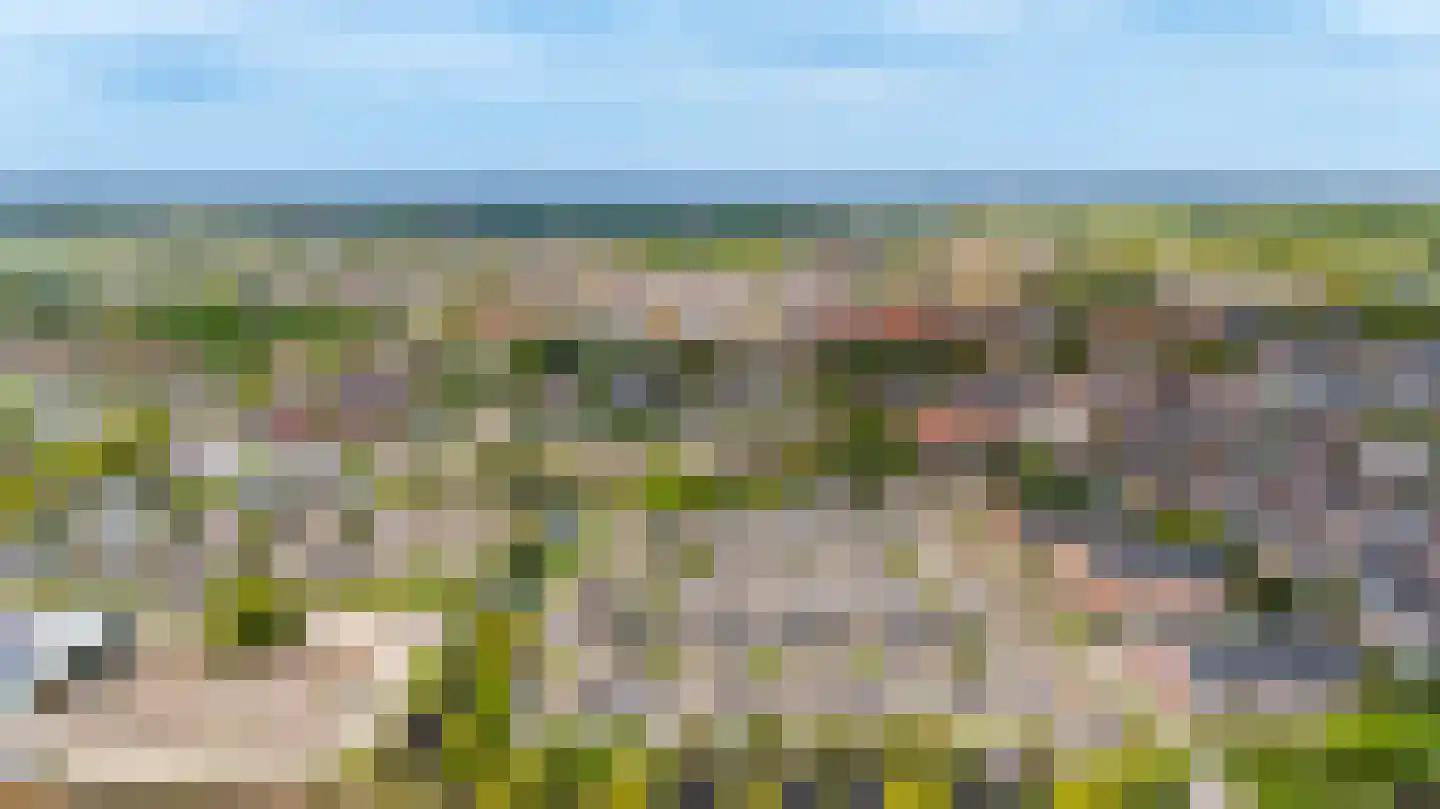Kamille 24 Noordwijkerhout thumbnail 41