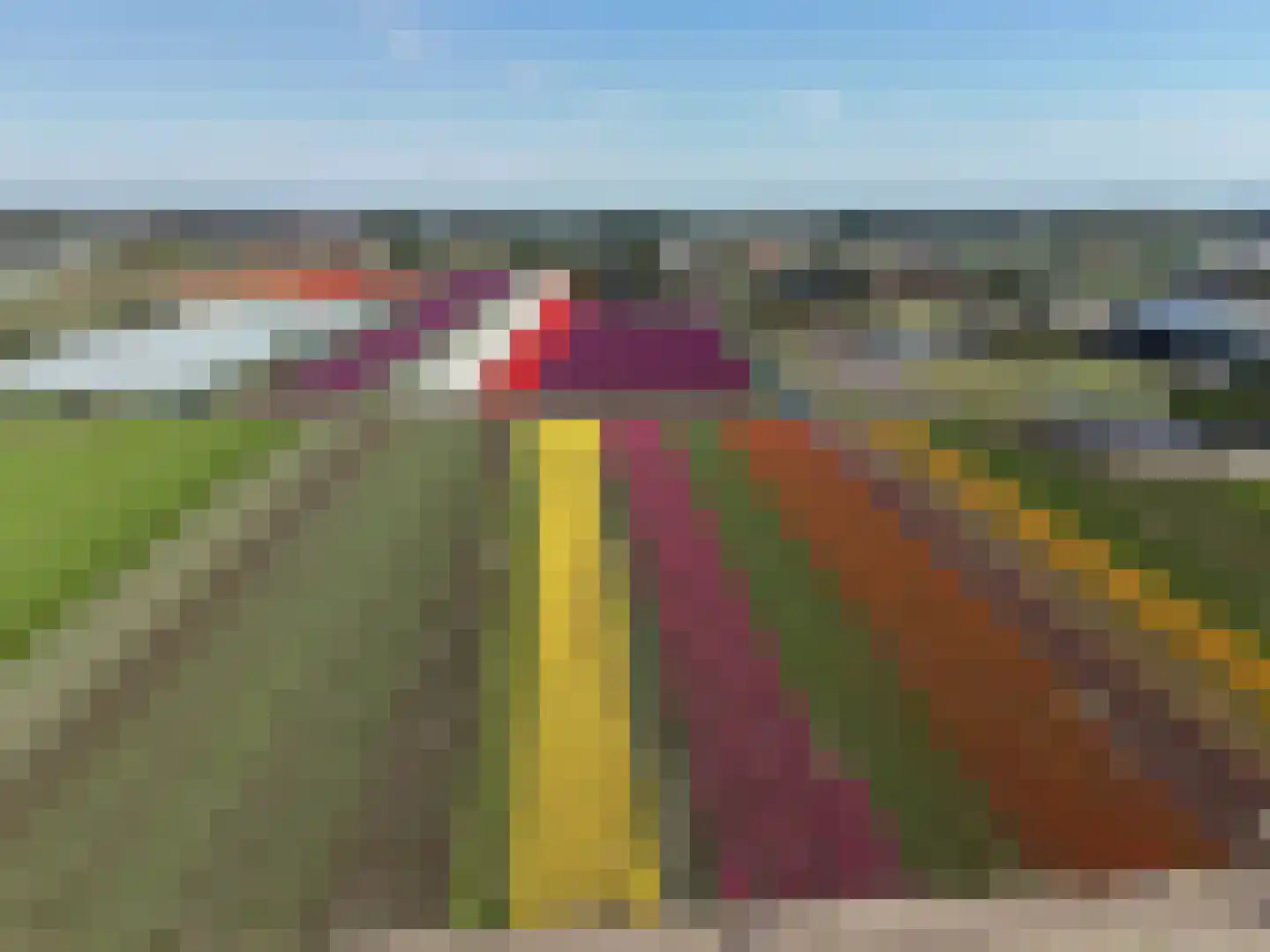 Kamille 24 Noordwijkerhout thumbnail 42