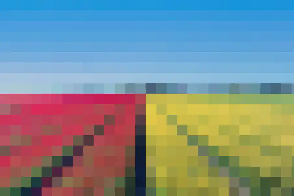 Kamille 24 Noordwijkerhout thumbnail 43