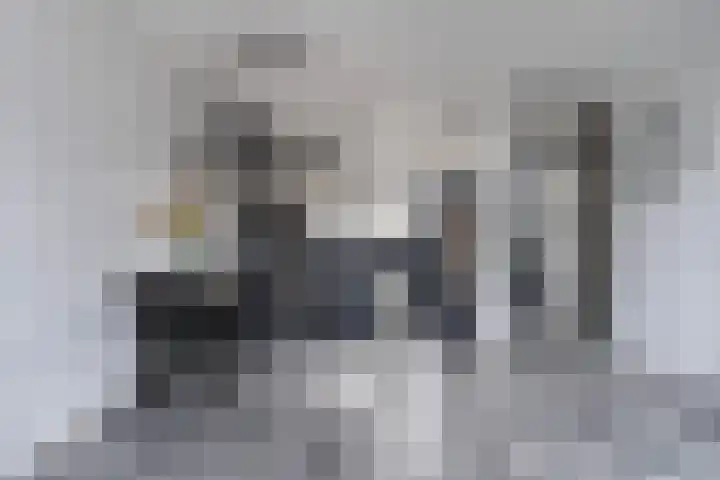 Kamille 25 Sneek thumbnail 13