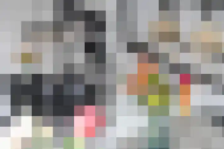 Kamille 25 Sneek thumbnail 14