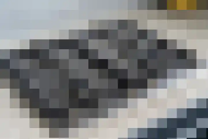 Kamille 25 Sneek thumbnail 17