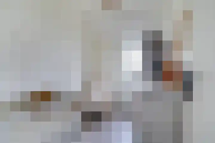 Kamille 25 Sneek thumbnail 22