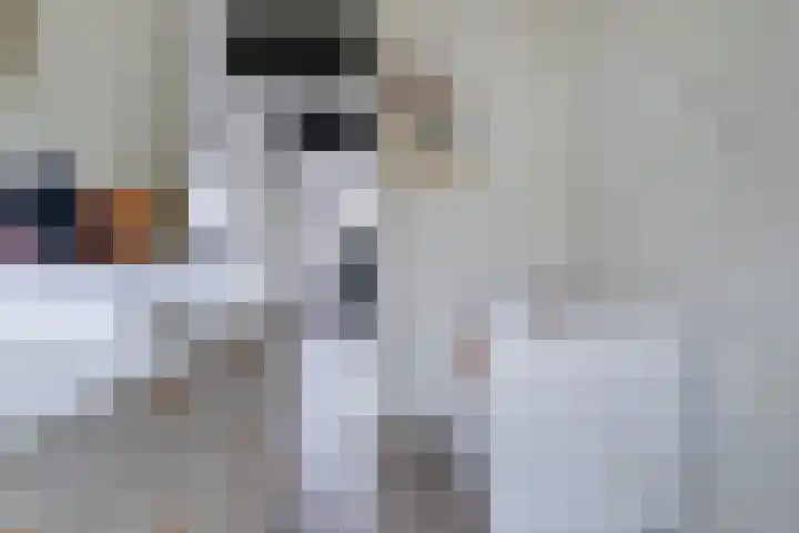 Kamille 25 Sneek thumbnail 23