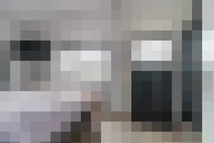 Kamille 25 Sneek thumbnail 26