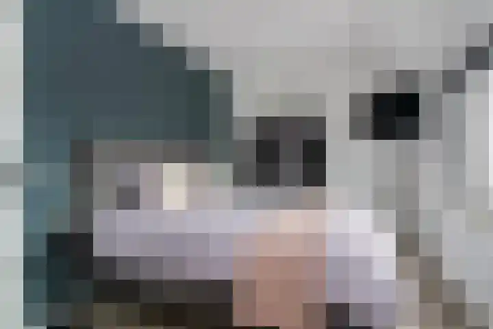 Kamille 25 Sneek thumbnail 27