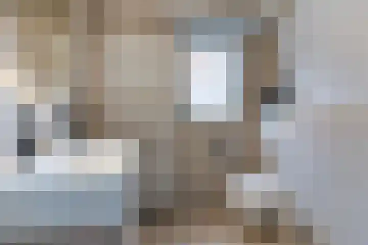 Kamille 25 Sneek thumbnail 29