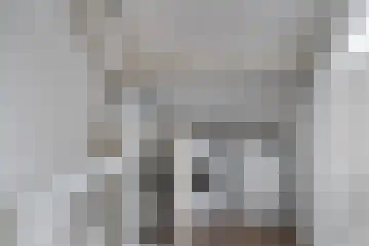 Kamille 25 Sneek thumbnail 31