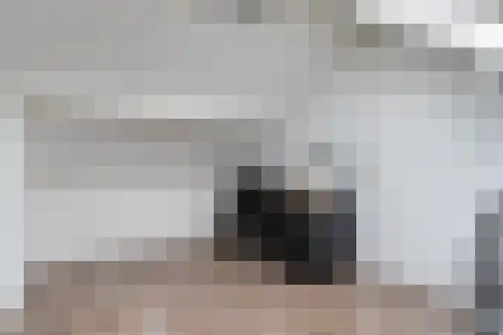 Kamille 25 Sneek thumbnail 32