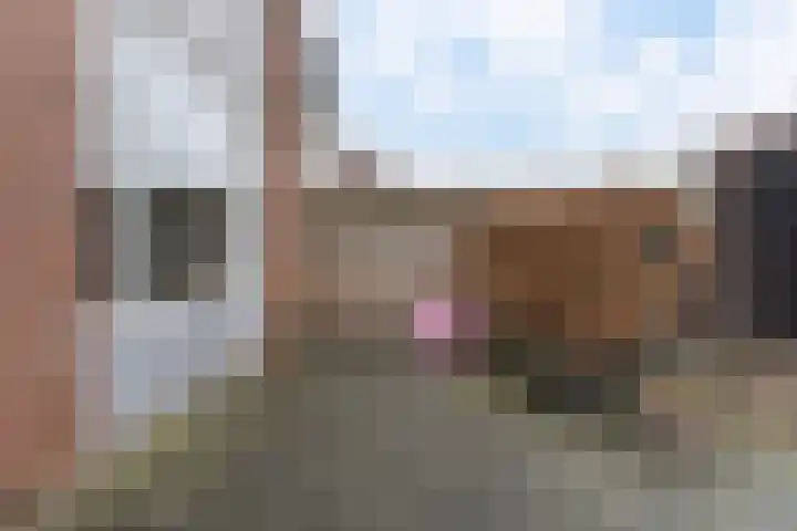 Kamille 25 Sneek thumbnail 34