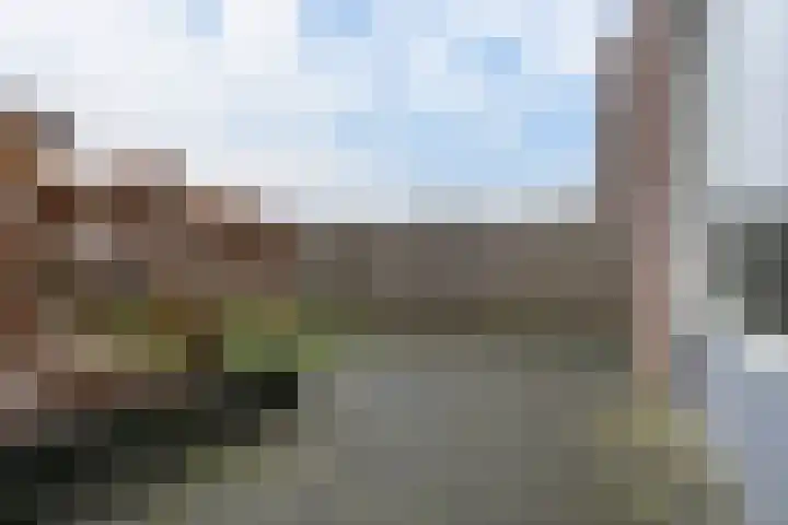 Kamille 25 Sneek thumbnail 35