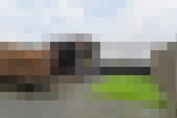 Kamille 25 Sneek thumbnail 36