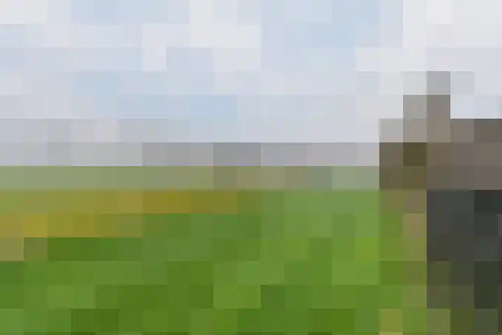 Kamille 25 Sneek thumbnail 38