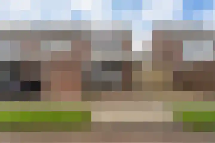 Kamille 25 Sneek thumbnail 40